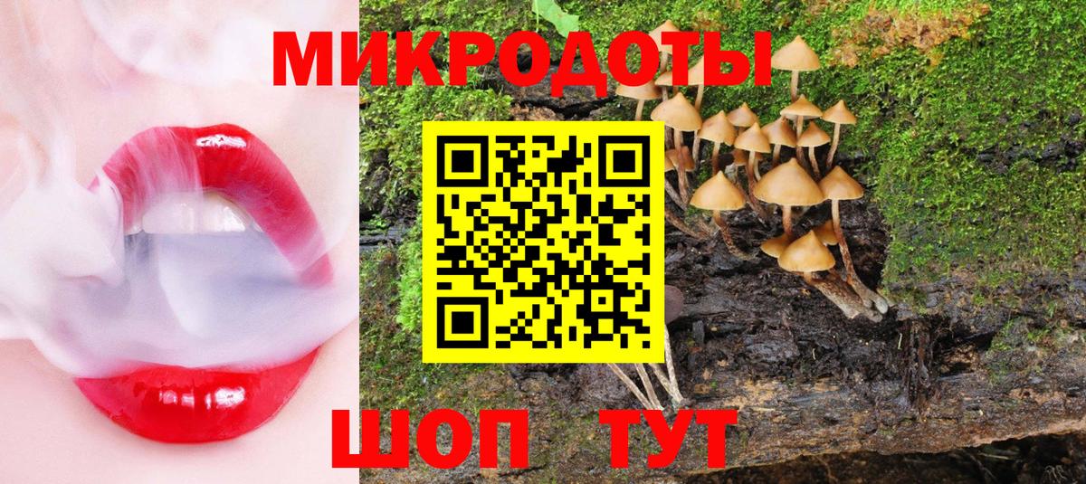 Псилоцибиновые грибы мицелий Бирск