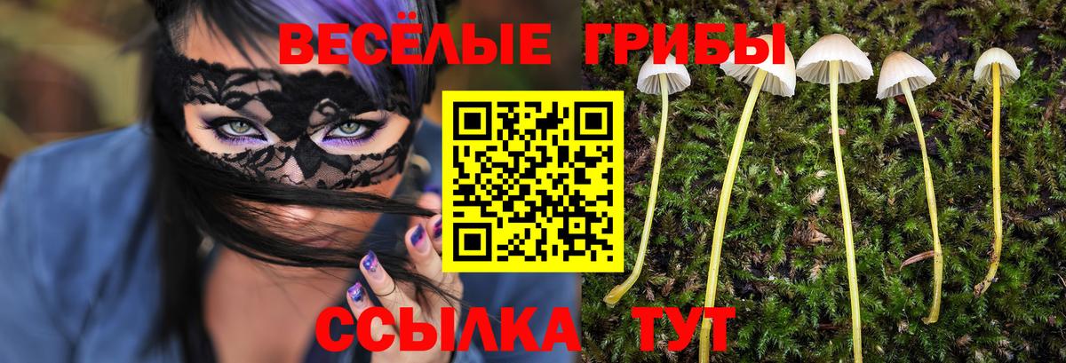 Бирск  Галлюциногенные грибы мухоморы  Вход с VPN  Псилоцибиновые грибы Psilocybine cubensis 